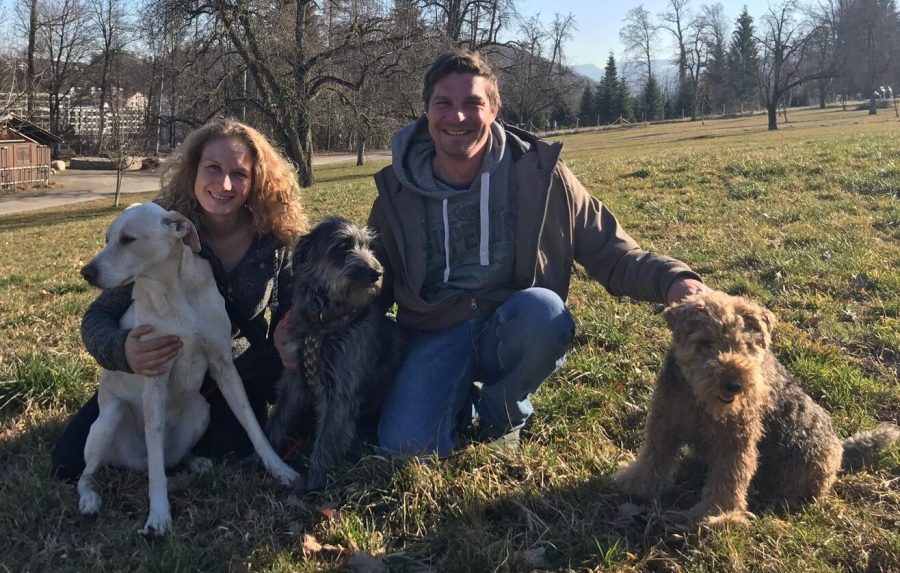Hundebetreung und Hundetraining mit Herz